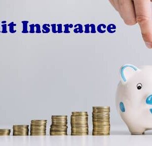 Credit Insurance
